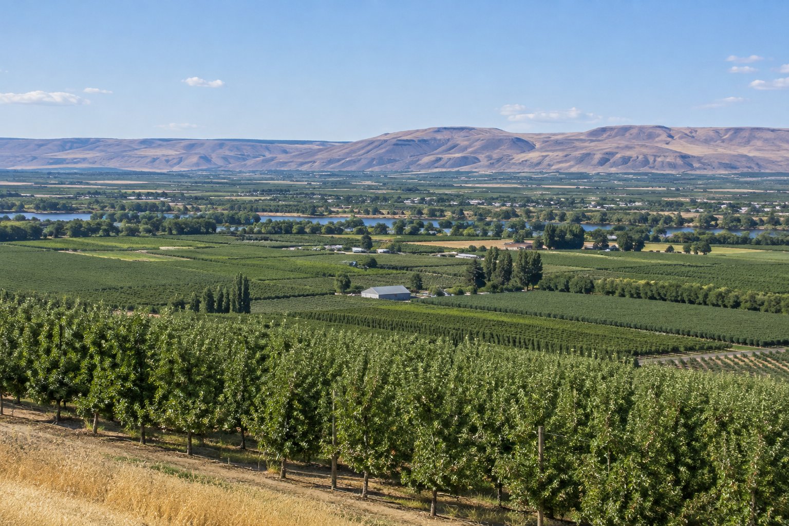 Sunnyside, WA